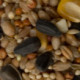 Wild Bird Food