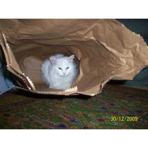 Portia making use of re-usable packaging - Sometimes I just want to get away from the rat race