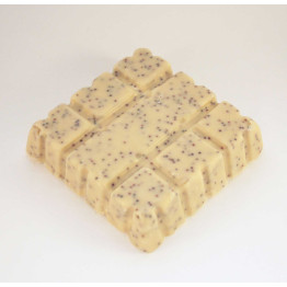 Insect Suet Blocks