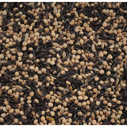 Finch Food