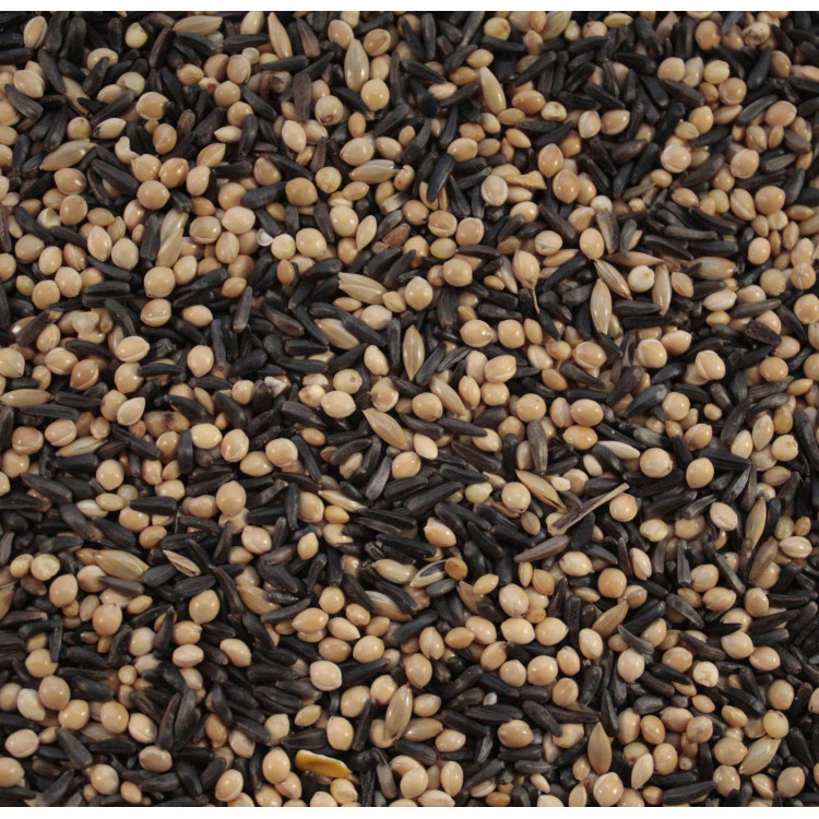 Finch Food