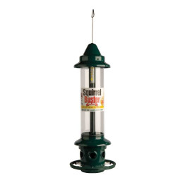 Squirrel Buster Plus
