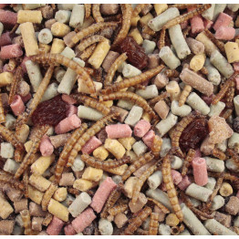 Ultimate High Energy Mix for wild birds