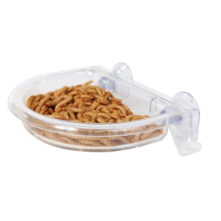 Treat Tray