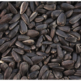 Black Sunflower Seeds
