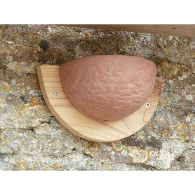 Swallow nest bowl