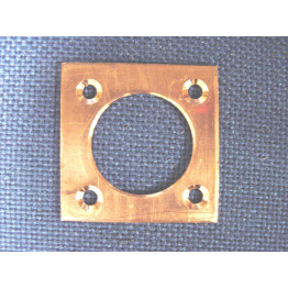 Nest box hole protector