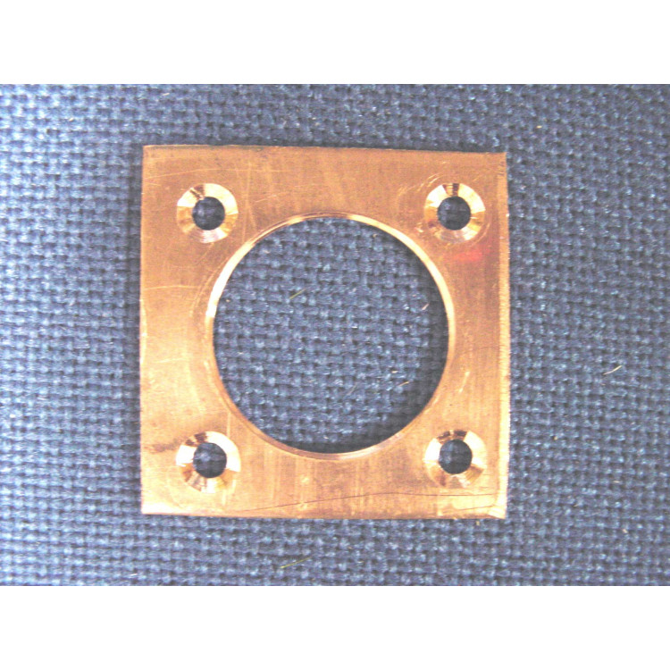Nest box hole protector