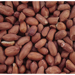 Peanuts for wild birds