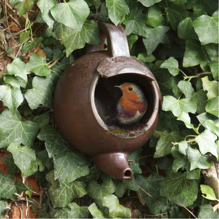 Teapot nest box