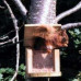 Squirrel Feeder heavy duty