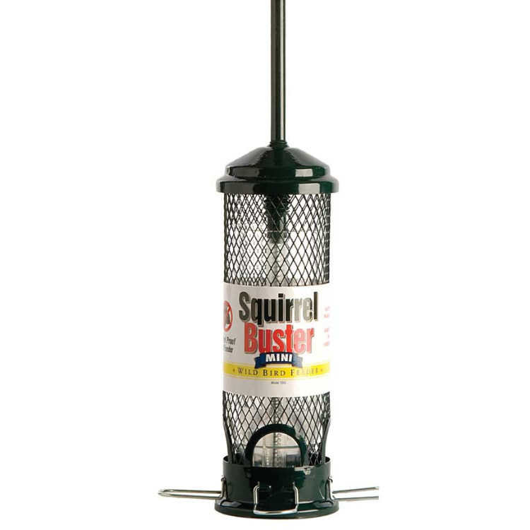 Squirrel Buster Mini