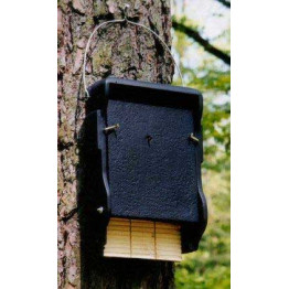 1 FF Bat box