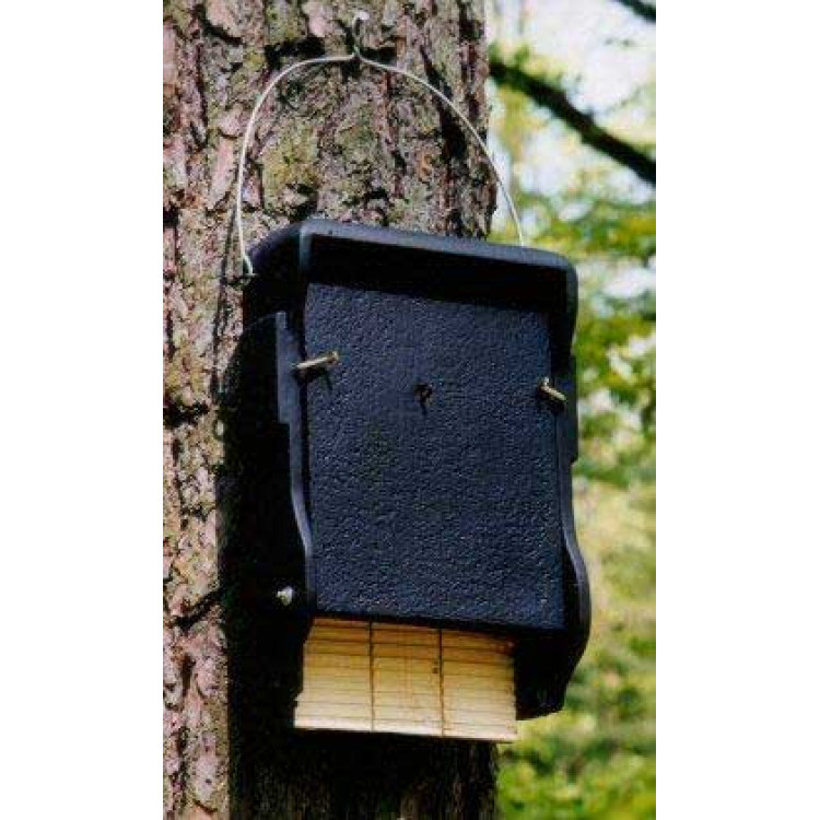1 FF Bat box