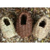 Roosting nest pocket
