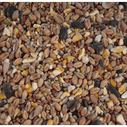 Wild bird food - Standard mix