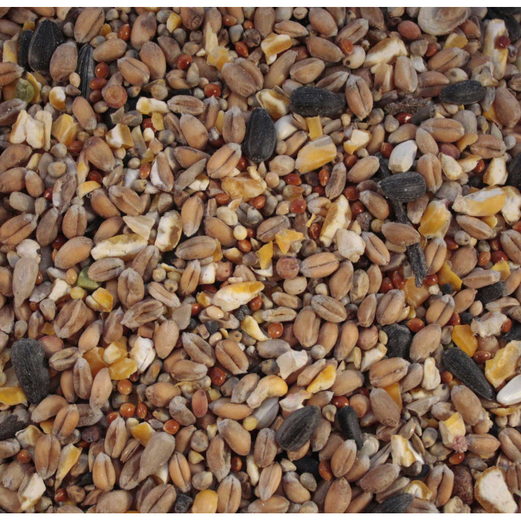 Wild bird food - Standard mix