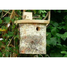 Silver Birch Tit box