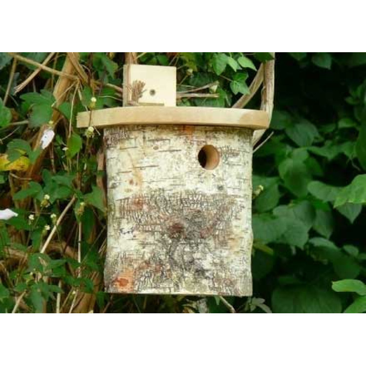 Silver Birch Tit box