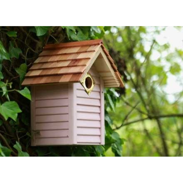 New England Nest box
