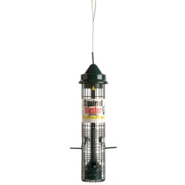 Squirrel Buster Classic